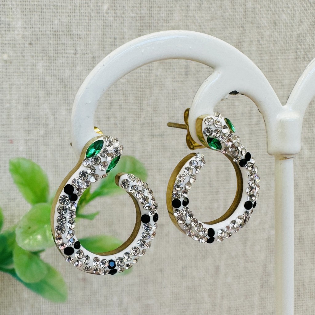 Stainless steel earrings